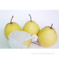 /msite/products/detail/productid/56337652/id/572588.html